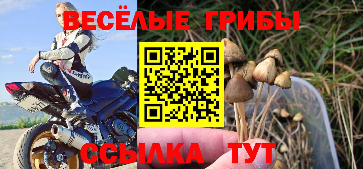 Кохма  Галлюциногенные грибы MAGIC MUSHROOMS  Галлюциногенные грибы прущие грибы  Вход с VPN 