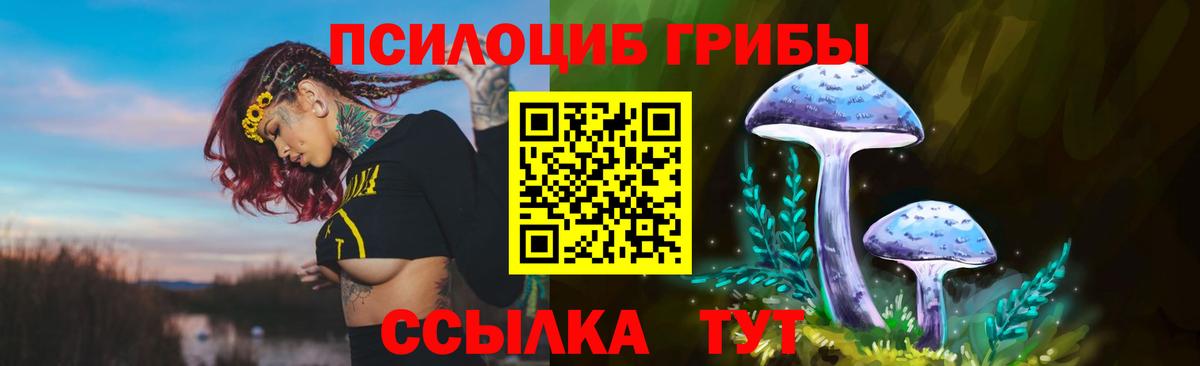 Галлюциногенные грибы Magic Shrooms Кохма